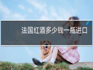 法国红酒多少钱一瓶进口