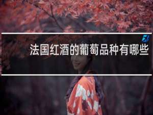 法国红酒的葡萄品种有哪些