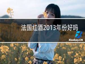 法国红酒2013年份好吗