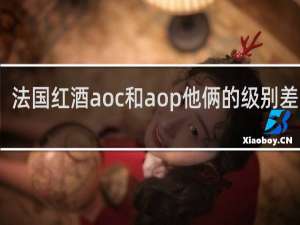 法国红酒aoc和aop他俩的级别差多少