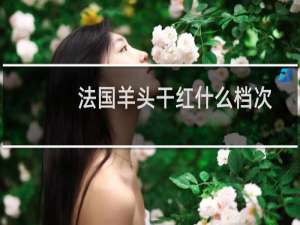 法国羊头干红什么档次