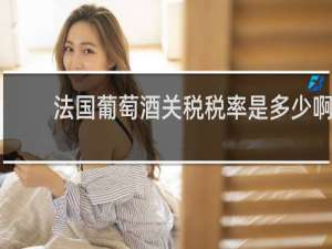 法国葡萄酒关税税率是多少啊