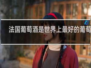 法国葡萄酒是世界上最好的葡萄酒