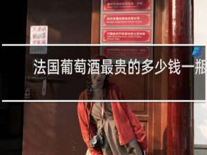法国葡萄酒最贵的多少钱一瓶
