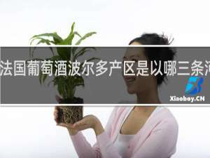 法国葡萄酒波尔多产区是以哪三条河划分
