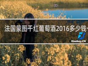 法国蒙图干红葡萄酒2016多少钱一瓶