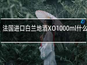 法国进口白兰地酒XO1000ml什么口感