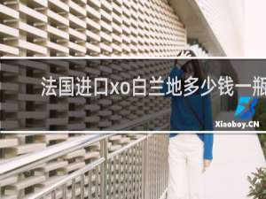 法国进口xo白兰地多少钱一瓶