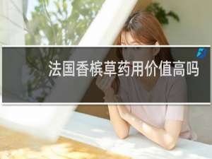 法国香槟草药用价值高吗