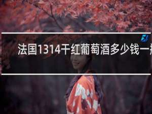 法国1314干红葡萄酒多少钱一瓶