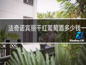 法奇诺宾丽干红葡萄酒多少钱一瓶
