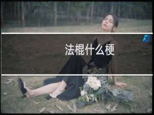 法棍什么梗