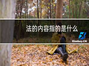 法的内容指的是什么