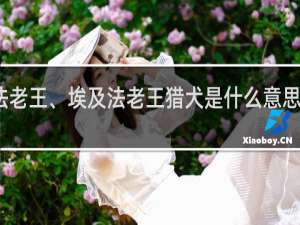 法老王、埃及法老王猎犬是什么意思什么梗