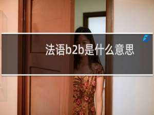法语b2b是什么意思