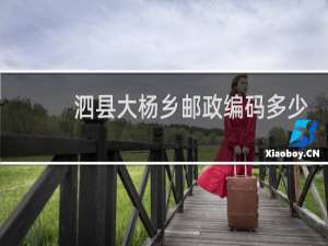 泗县大杨乡邮政编码多少