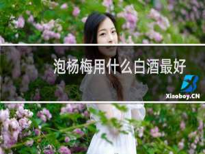 泡杨梅用什么白酒最好