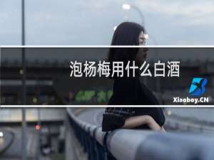泡杨梅用什么白酒