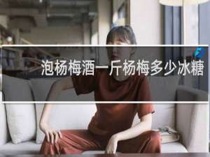 泡杨梅酒一斤杨梅多少冰糖