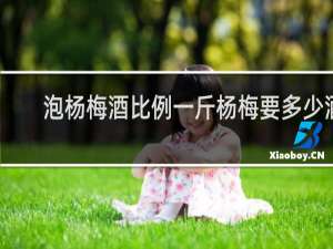 泡杨梅酒比例一斤杨梅要多少酒