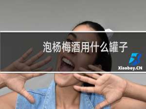 泡杨梅酒用什么罐子