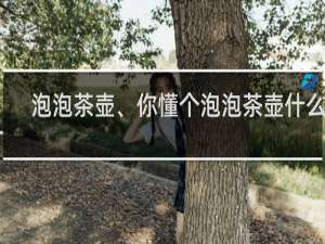 泡泡茶壶、你懂个泡泡茶壶什么梗