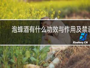 泡蜂酒有什么功效与作用及禁忌