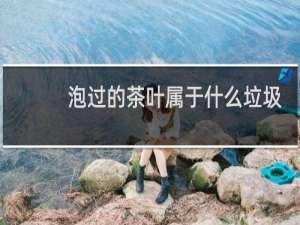 泡过的茶叶属于什么垃圾