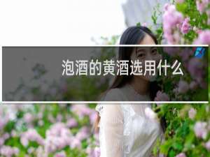 泡酒的黄酒选用什么