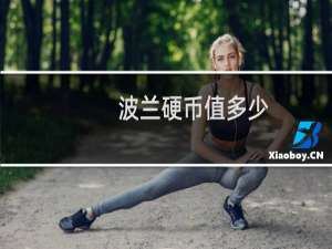 波兰硬币值多少