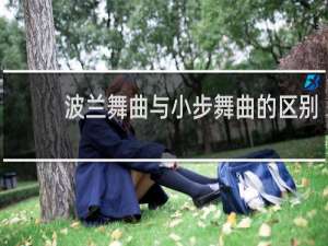 波兰舞曲与小步舞曲的区别