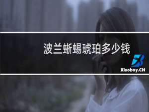 波兰蜥蜴琥珀多少钱