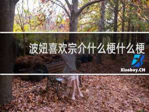 波妞喜欢宗介什么梗什么梗