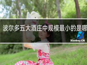 波尔多五大酒庄中规模最小的是哪一个