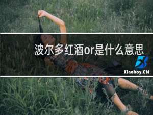 波尔多红酒or是什么意思