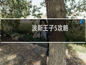 波斯王子5攻略