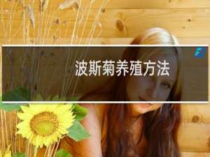 波斯菊养殖方法