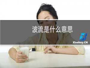 波流是什么意思（波流的意思）