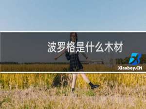 波罗格是什么木材