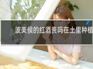波美侯的红酒贵吗在土里种植