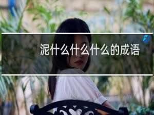 泥什么什么什么的成语