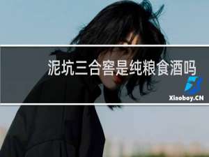泥坑三合窖是纯粮食酒吗