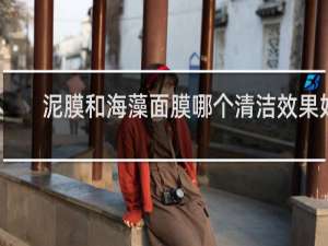 泥膜和海藻面膜哪个清洁效果好