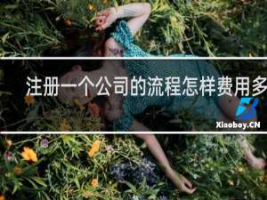 注册一个公司的流程怎样费用多少