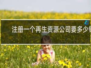 注册一个再生资源公司要多少钱
