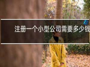 注册一个小型公司需要多少钱