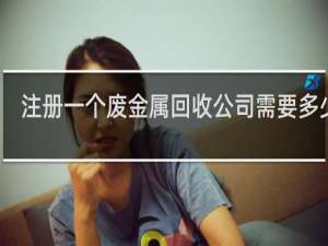 注册一个废金属回收公司需要多少钱