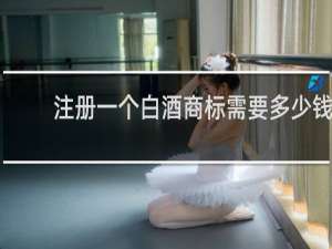 注册一个白酒商标需要多少钱