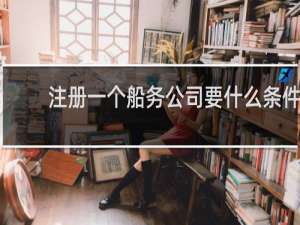 注册一个船务公司要什么条件