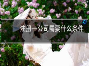 注册一公司需要什么条件
